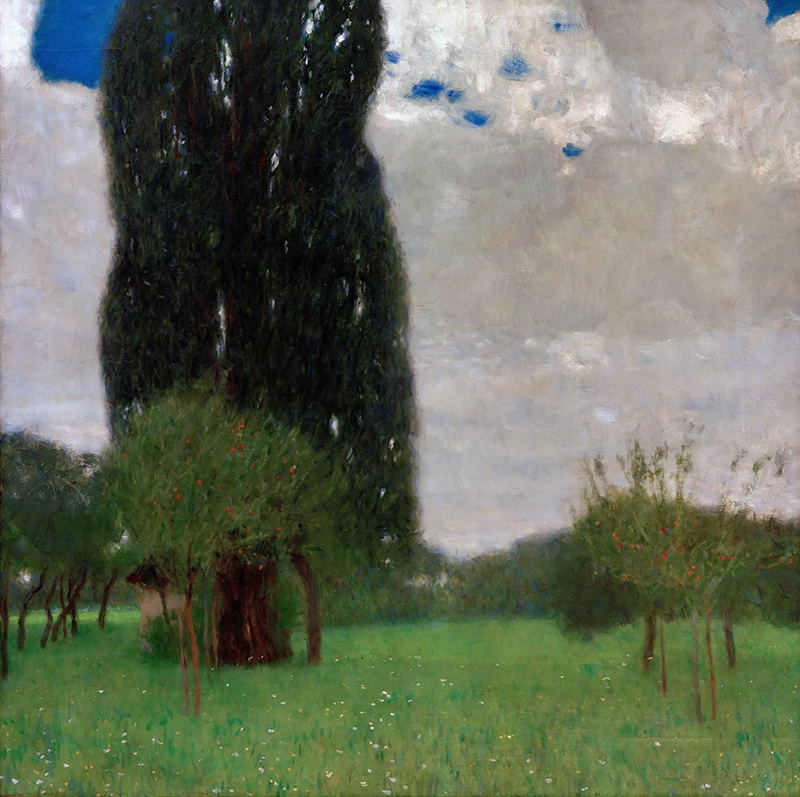 A017062《高大的杨树》奥地利画家古斯塔夫·克里姆特高清作品 奥地利-第1张