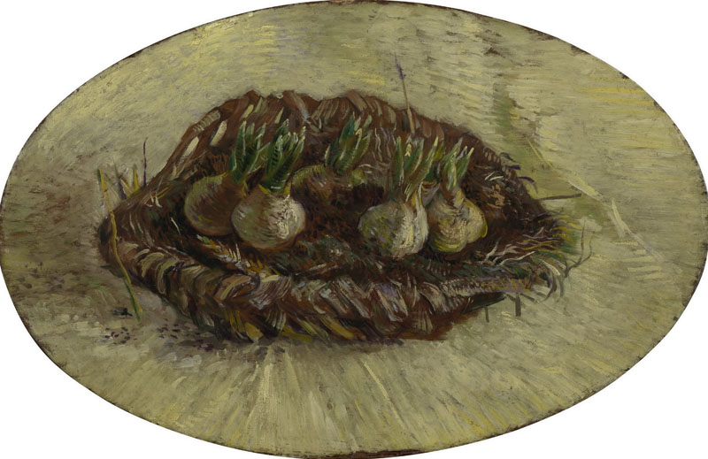A001223《篮子里的风信子苗》荷兰画家文森特·梵高高清作品 油画-第1张