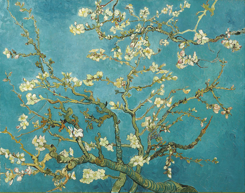 A001285《盛开的杏树花》荷兰画家文森特·梵高高清作品 油画-第1张