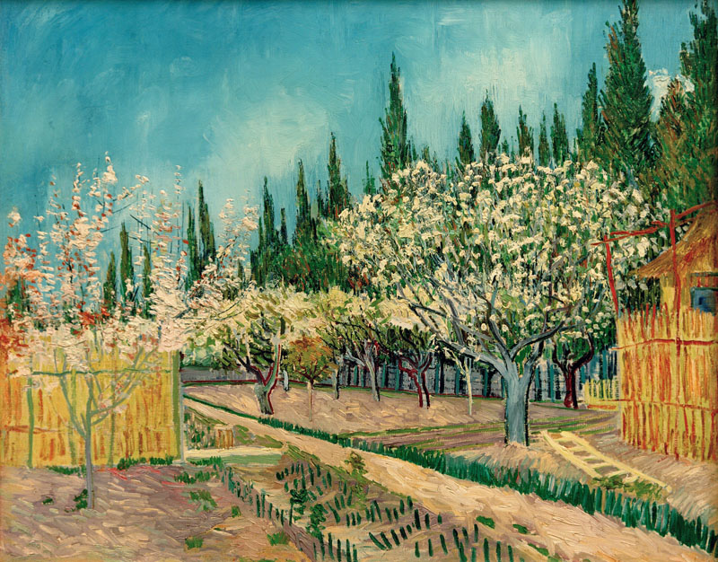 A001333《柏树旁盛开的果园》荷兰画家文森特·梵高高清作品 油画-第1张