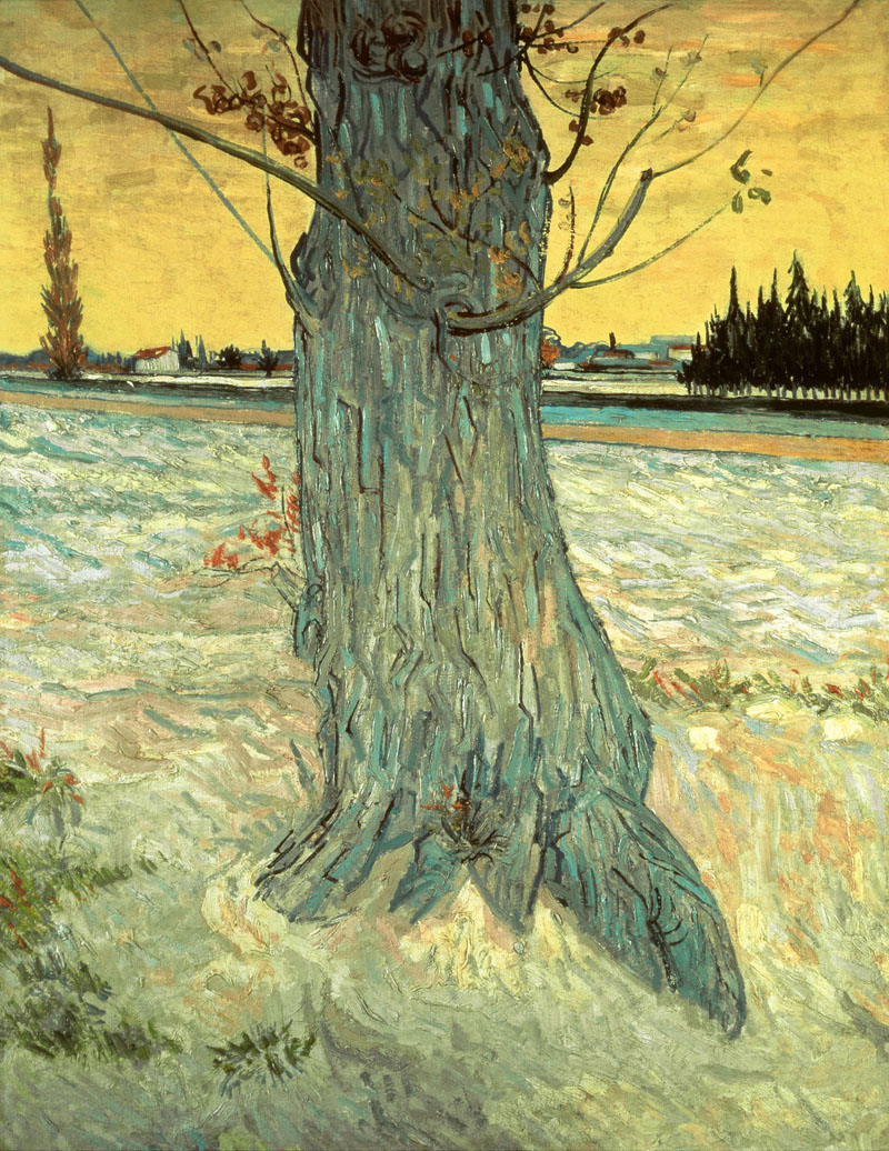 A001342《赤柏松树的树干》荷兰画家文森特·梵高高清作品 油画-第1张