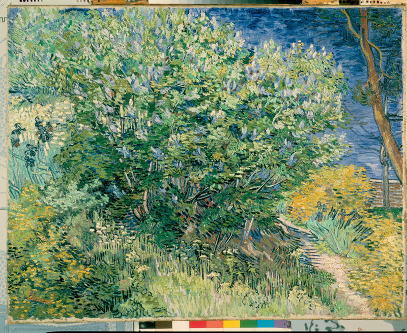 A001353《紫丁香树丛》荷兰画家文森特·梵高高清作品 油画-第1张
