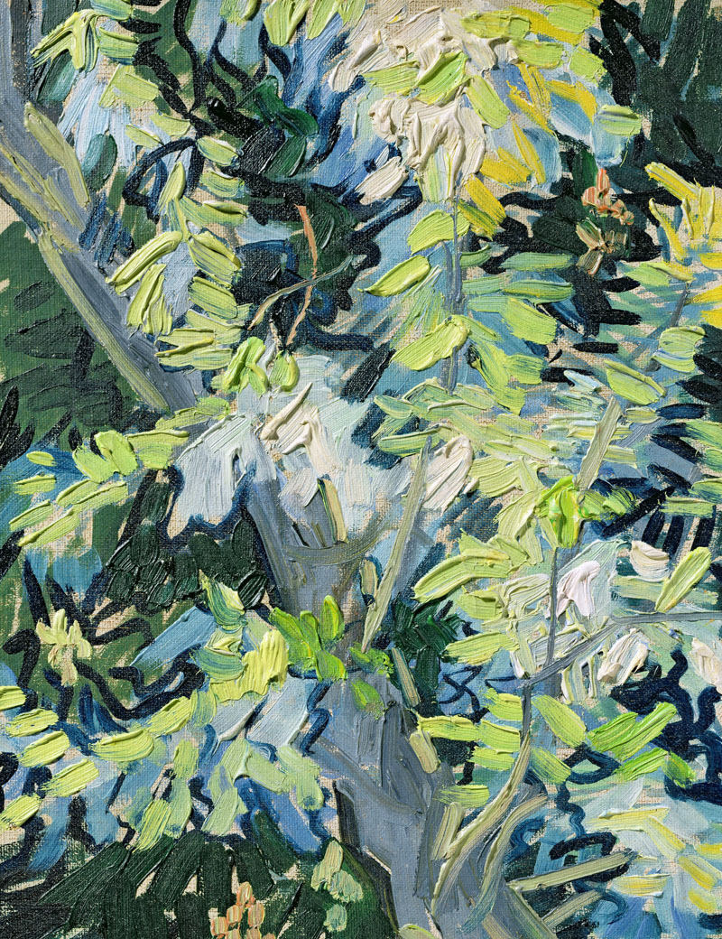 A001379《花朵盛开的阿拉伯树》荷兰画家文森特·梵高高清作品 油画-第1张