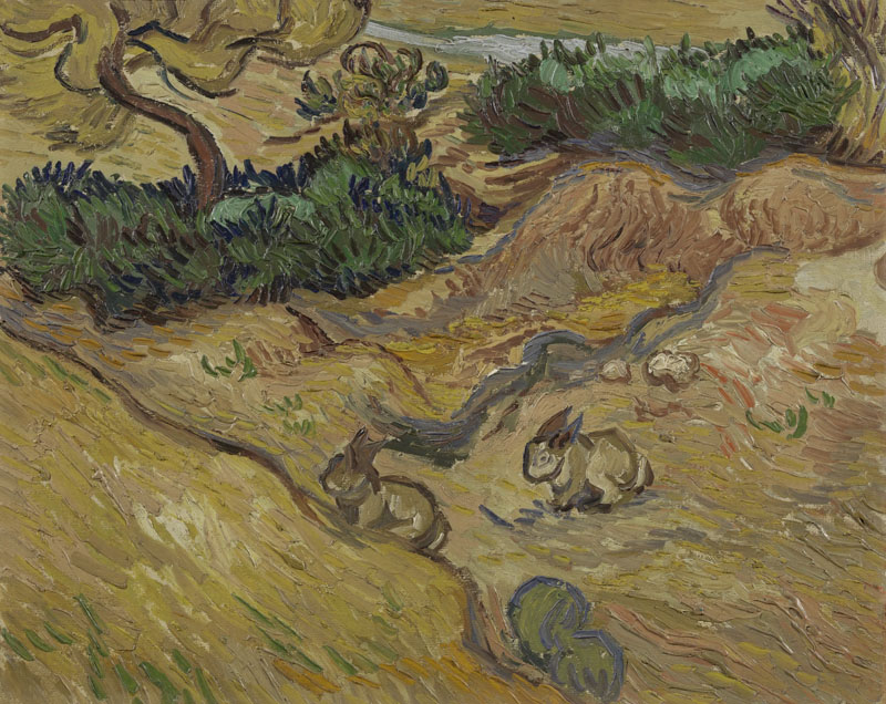 A001393《景观与兔》荷兰画家文森特·梵高高清作品 油画-第1张