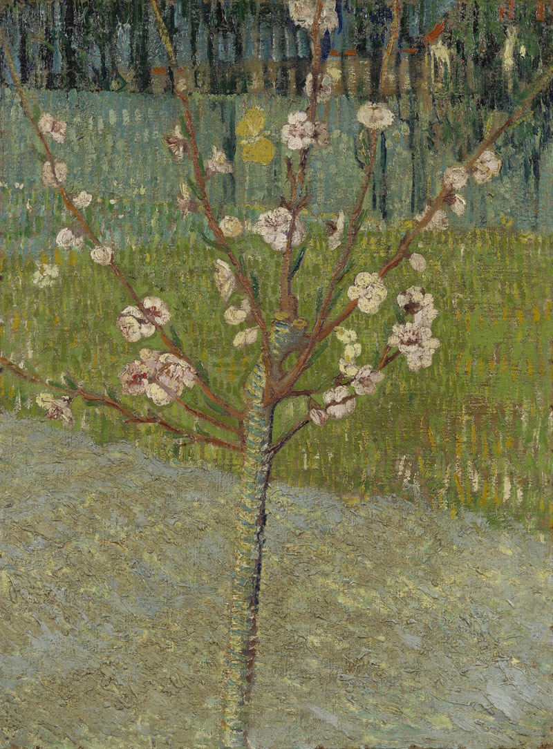 A001400《开花的杏树》荷兰画家文森特·梵高高清作品 油画-第1张