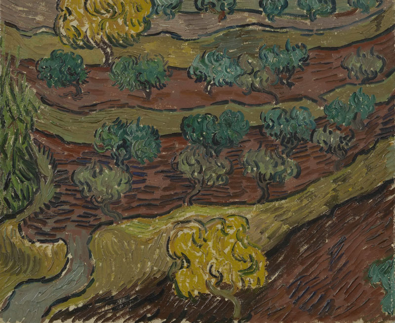 A001459《山坡上的橄榄树》荷兰画家文森特·梵高高清作品 油画-第1张