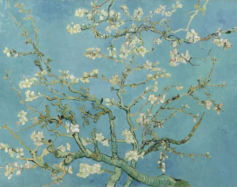 A001476《盛开的杏花》荷兰画家文森特·梵高高清作品 油画-第1张
