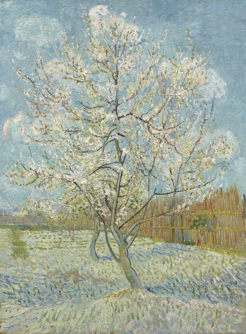 A001477《盛开的杏树》荷兰画家文森特·梵高高清作品 油画-第1张
