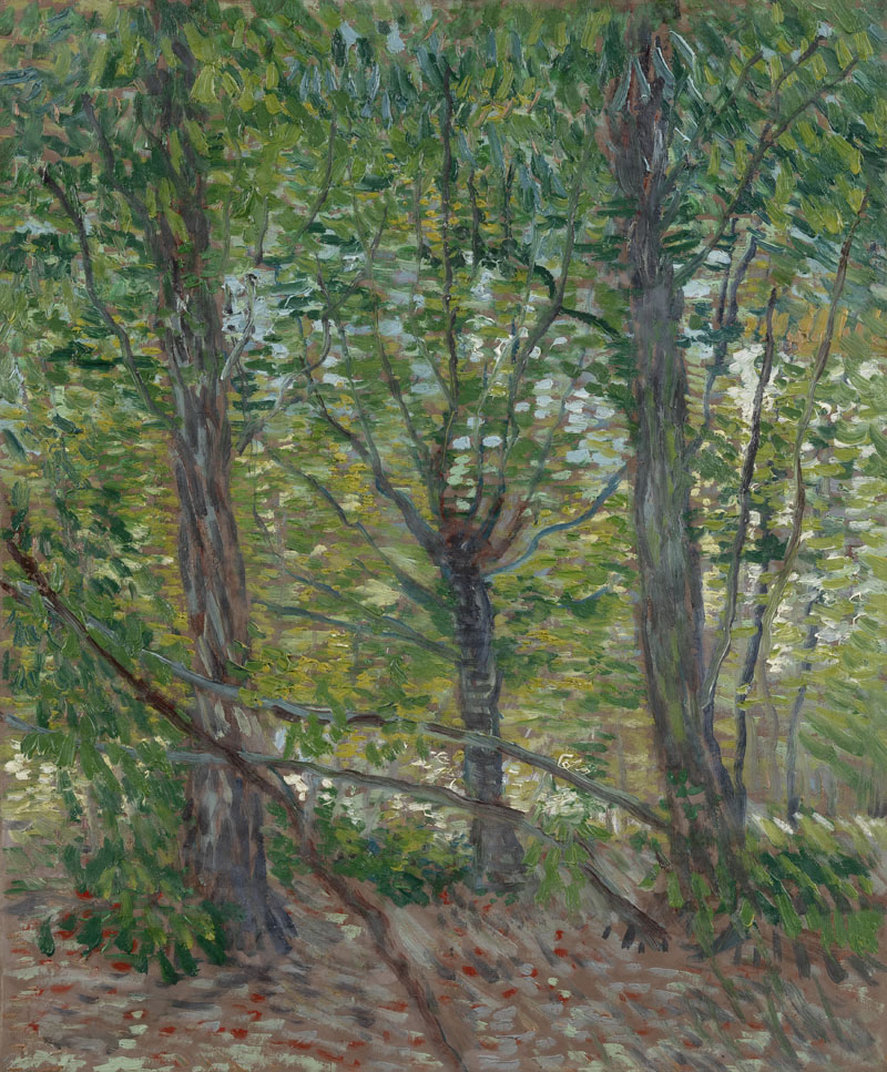 A001479《树》荷兰画家文森特·梵高高清作品 油画-第1张