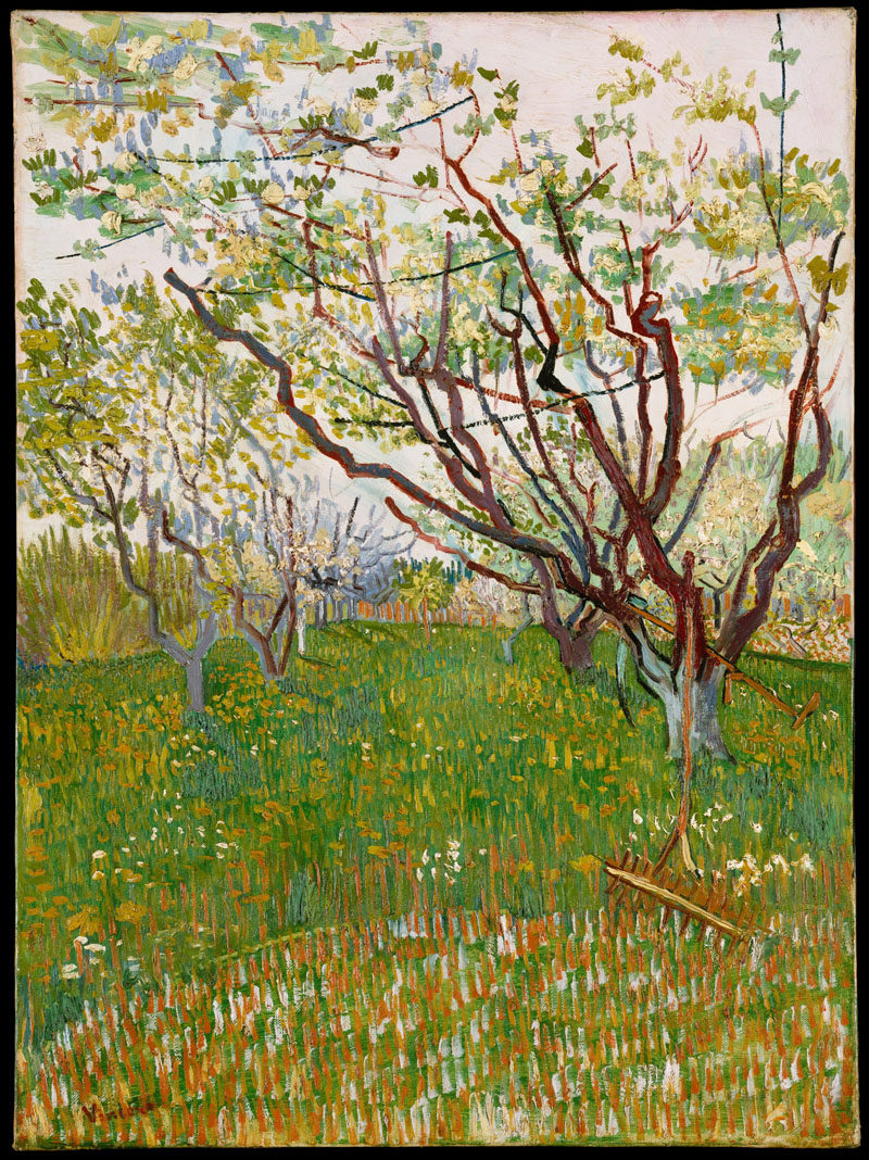A001495《鲜花盛开的果园》荷兰画家文森特·梵高高清作品 油画-第1张