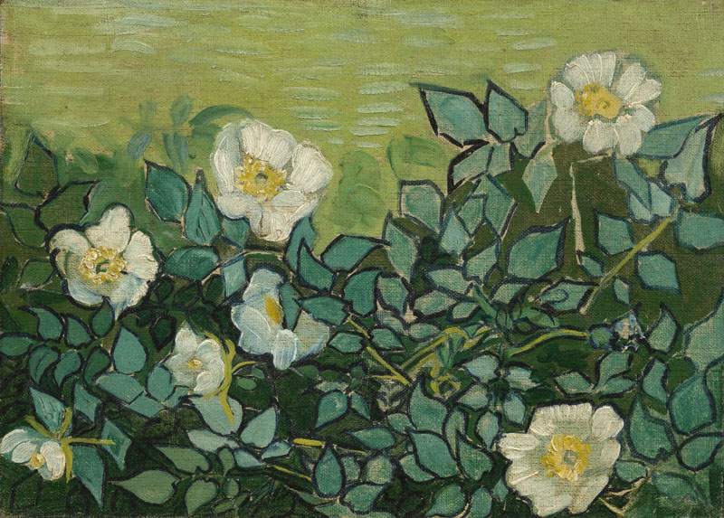 A001505《野玫瑰》荷兰画家文森特·梵高高清作品 油画-第1张