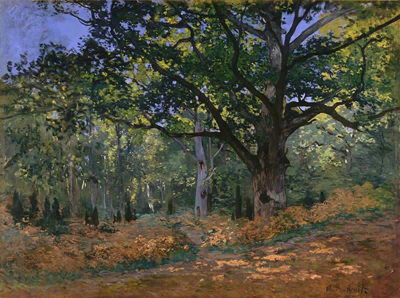 A002128《 枫丹白露森林》法国画家克劳德·莫奈高清作品 油画-第1张