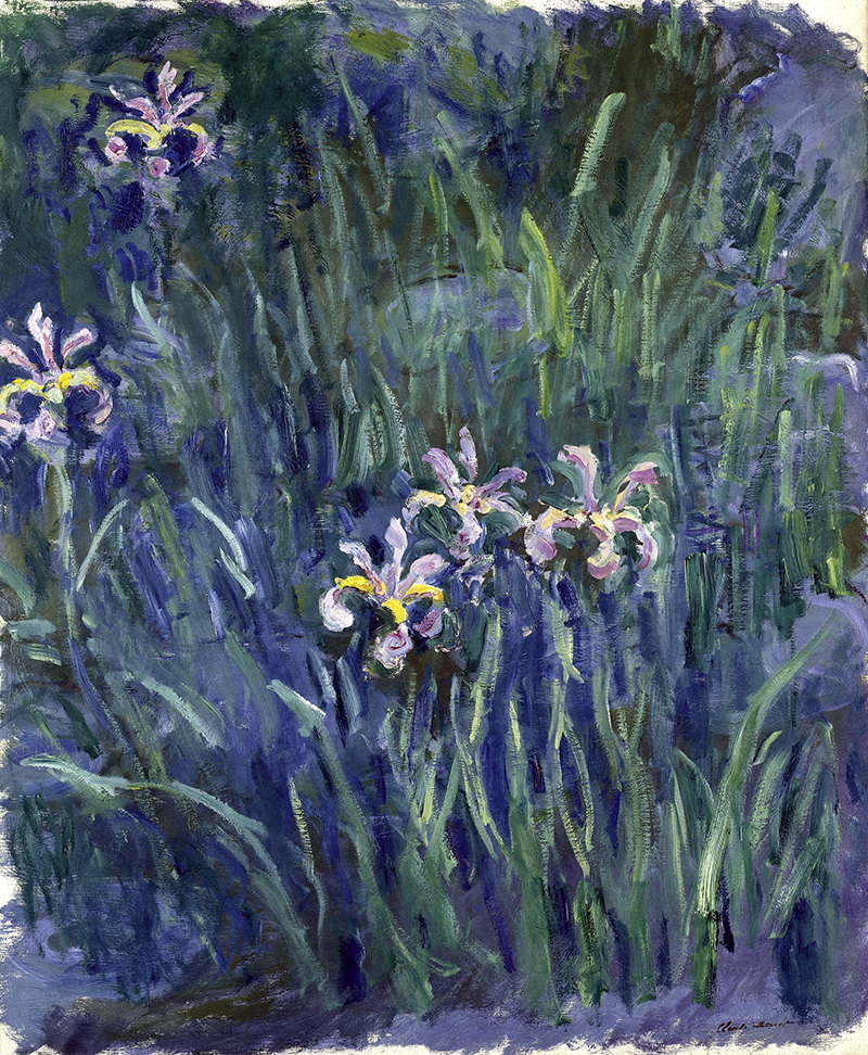 A002161《紫色鸢尾花 》法国画家克劳德·莫奈高清作品 油画-第1张