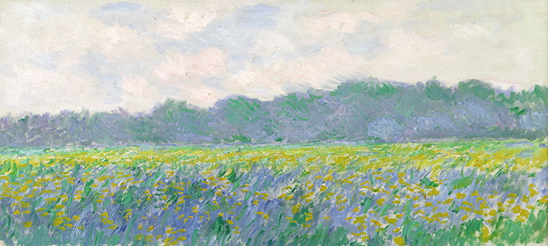 A002257《吉维尼的黄罂粟》法国画家克劳德·莫奈高清作品 油画-第1张