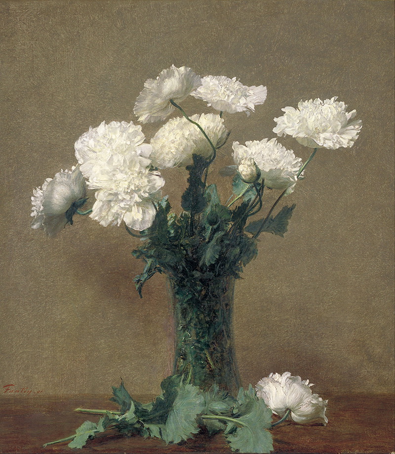 A010052《罂粟花》法国画家方丹·拉图尔高清作品 油画-第1张
