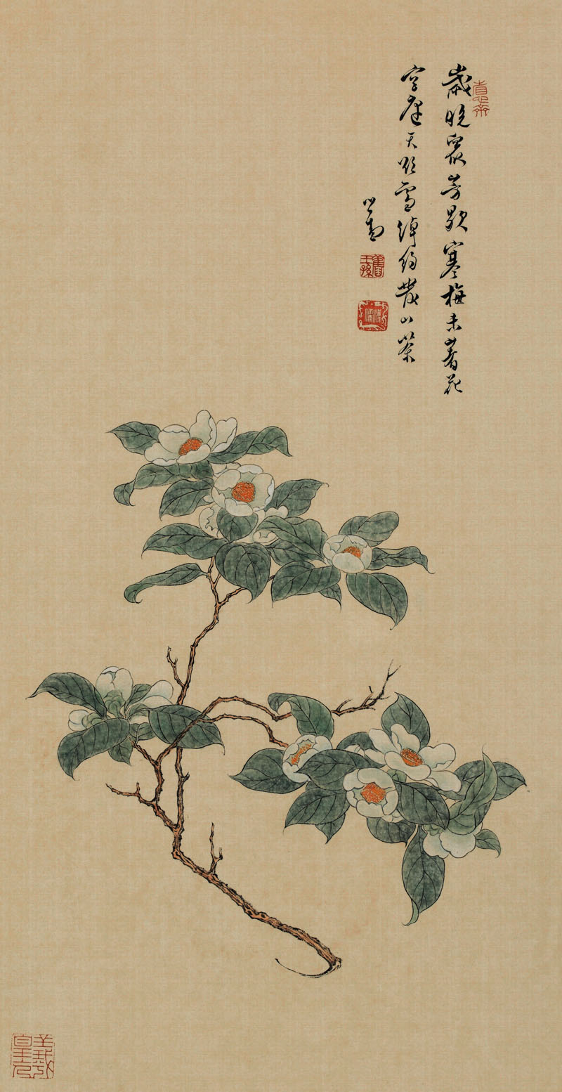 B2023009《花》清代画家溥儒高清作品 清代-第1张