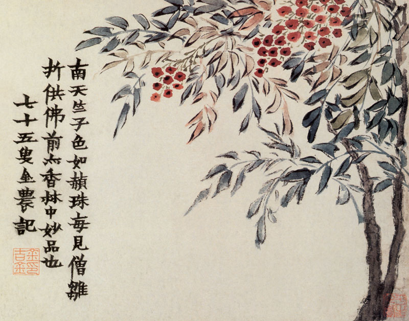 B2044014《花卉图册之二》清代画家金农高清作品 清代-第1张