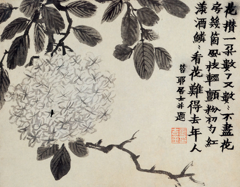 B2044017《花卉图册之五》清代画家金农高清作品 清代-第1张