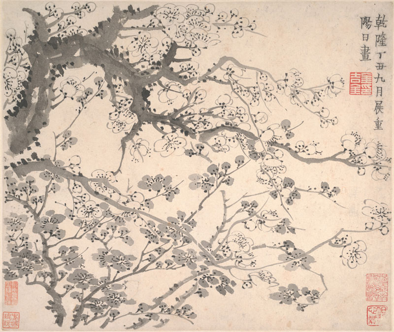 B2044021《梅花图册页一》清代画家金农高清作品 清代-第1张