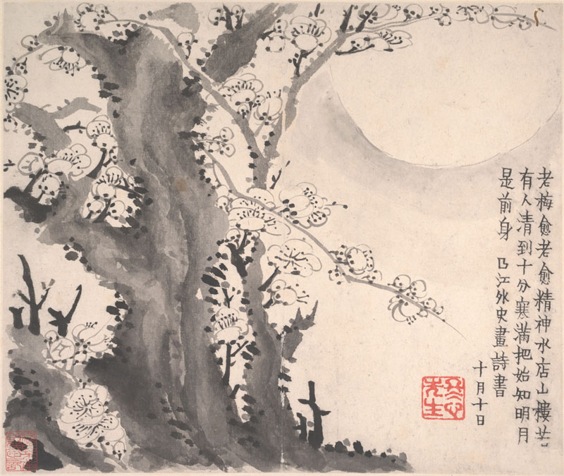 B2044023《梅花图册页三》清代画家金农高清作品 清代-第1张