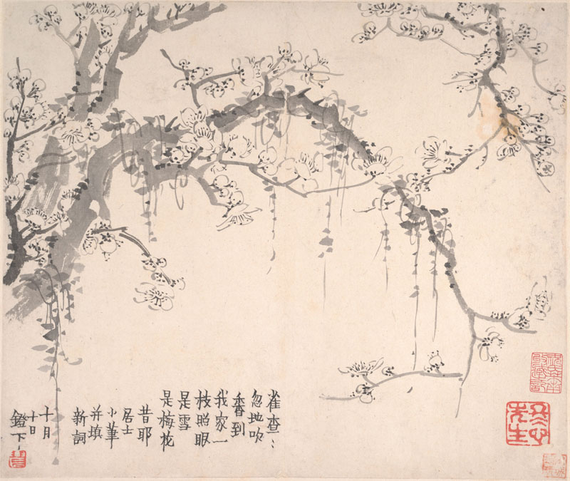 B2044024《梅花图册页四》清代画家金农高清作品 清代-第1张