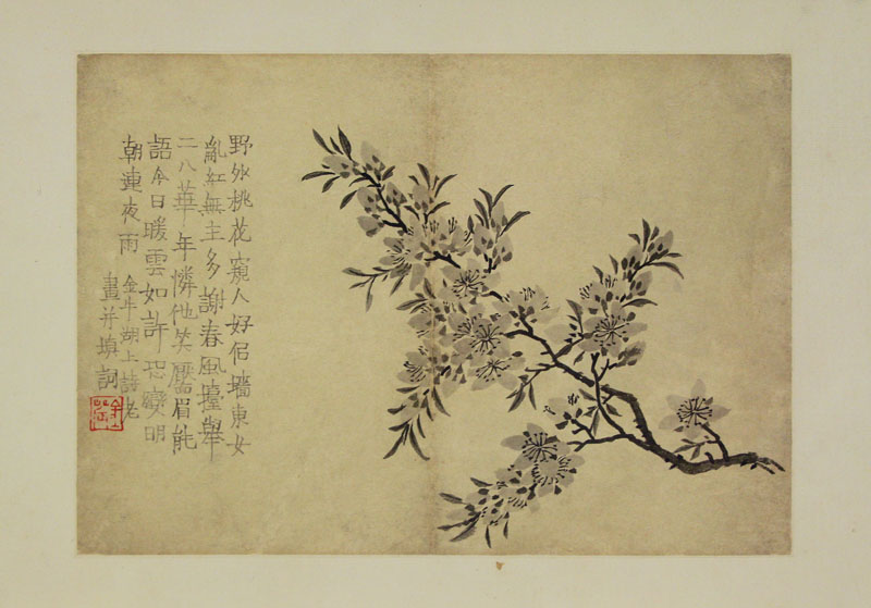 B2044032《花卉图册页一》清代画家金农高清作品 清代-第1张