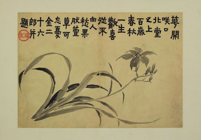 B2044033《花卉图册页二》清代画家金农高清作品 清代-第1张