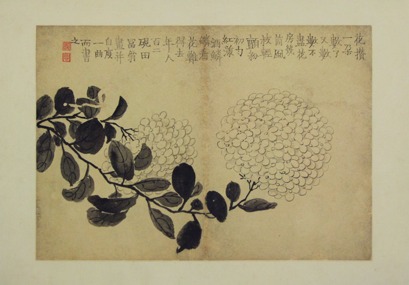 B2044041《花卉图册页十》清代画家金农高清作品 清代-第1张