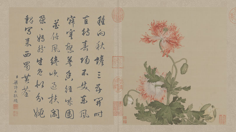 B2049003《花鸟图册之三》清代画家郎世宁高清作品 书法-第1张