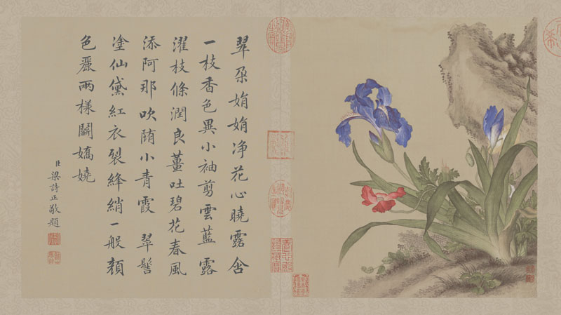 B2049004《花鸟图册之四》清代画家郎世宁高清作品 书法-第1张