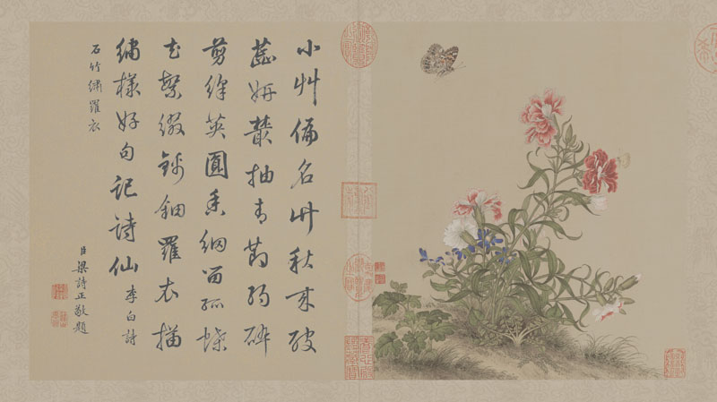 B2049006《花鸟图册之六》清代画家郎世宁高清作品 书法-第1张