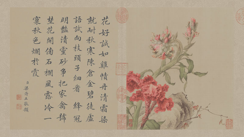 B2049008《花鸟图册之八》清代画家郎世宁高清作品 书法-第1张