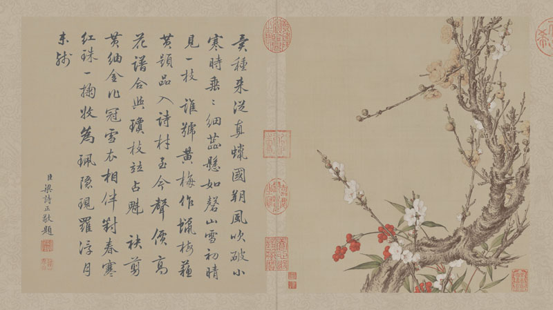 B2049009《花鸟图册之九》清代画家郎世宁高清作品 书法-第1张