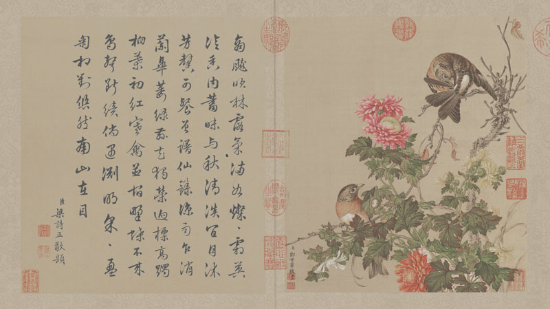 B2049010《花鸟图册之十》清代画家郎世宁高清作品 书法-第1张