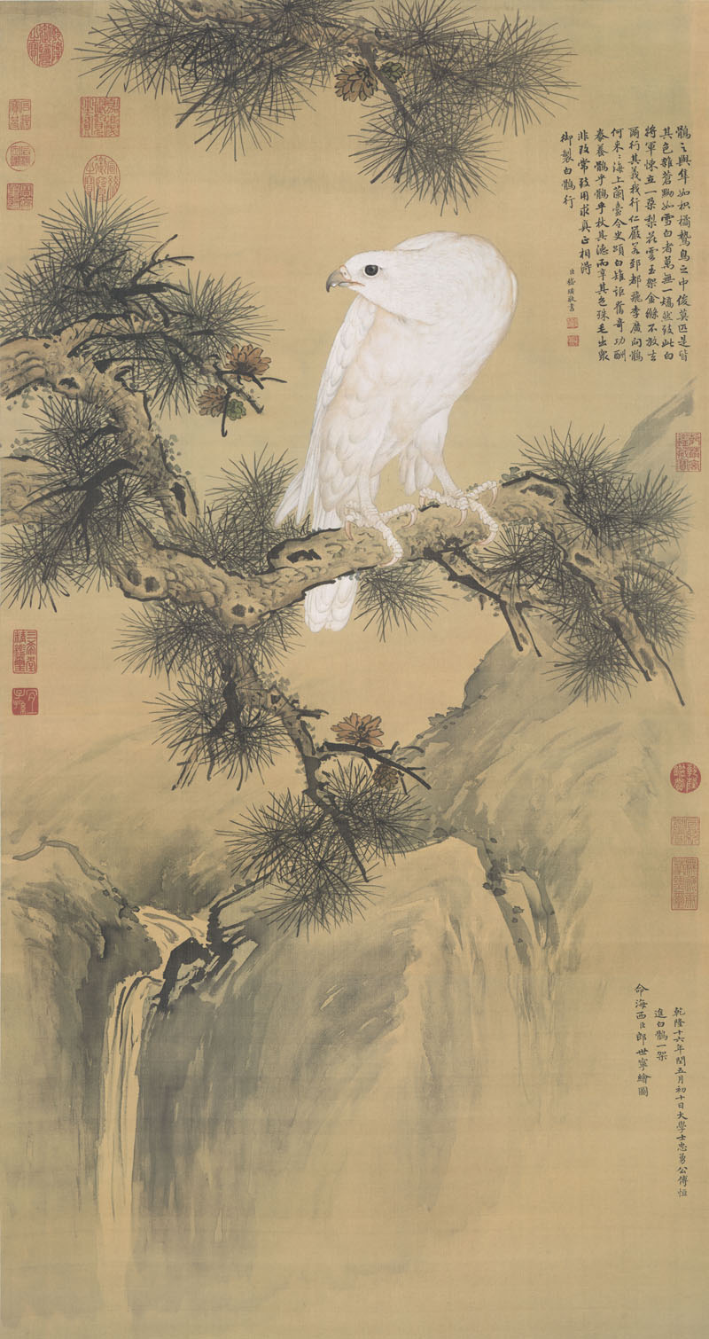 B2049058《白鹘图》清代画家郎世宁高清作品 清代-第1张