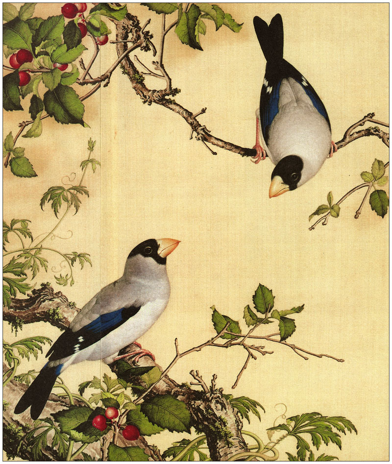 B2049068《仙萼长春图之八》清代画家郎世宁高清作品 清代-第1张