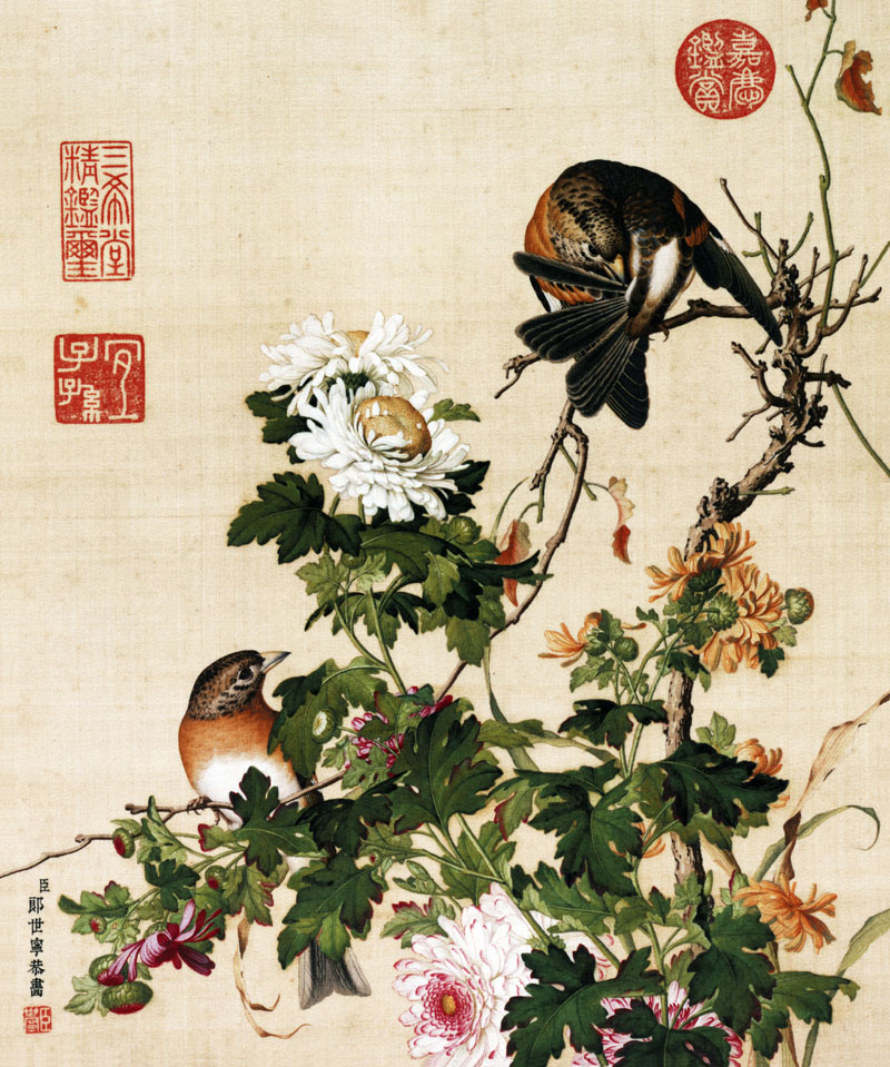 B2049096《仙萼长春图 菊花图》清代画家郎世宁高清作品 清代-第1张