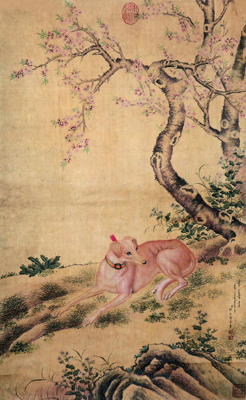 B2049117《卧犬图》清代画家郎世宁高清作品 清代-第1张