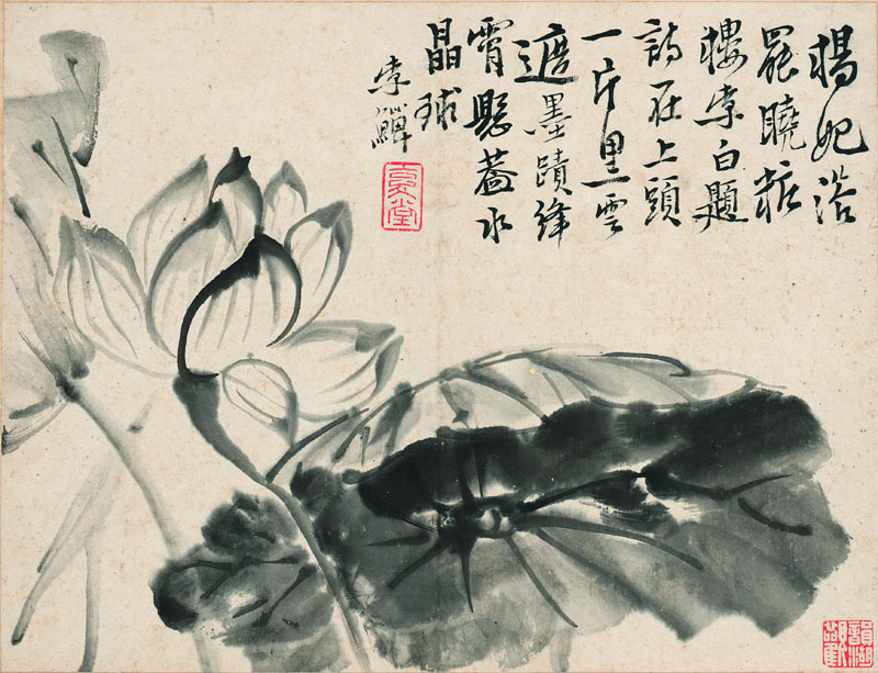 B2054019《花鸟册十开之一》清代画家李复堂高清作品 清代-第1张