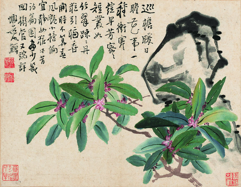 B2054025《花鸟册十开之七》清代画家李复堂高清作品 清代-第1张