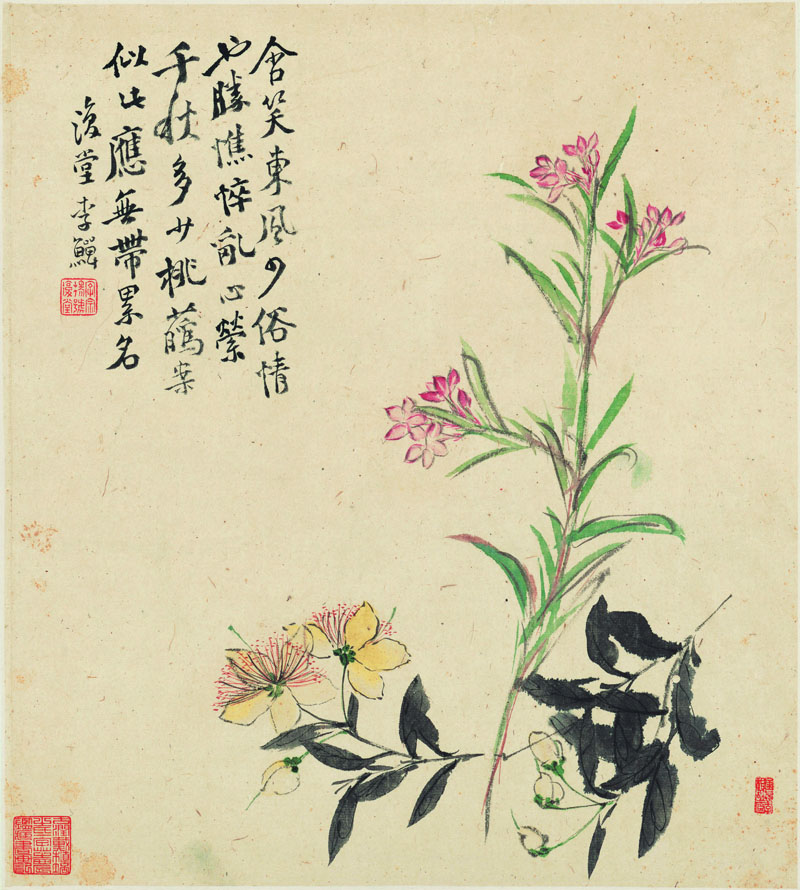 B2054035《花卉十二开之七》清代画家李复堂高清作品 清代-第1张