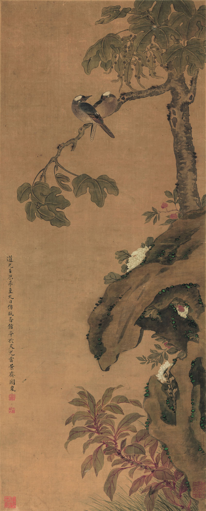 B2077001《花鸟（梧桐白头图）》清代画家阙岚高清作品 清代-第1张