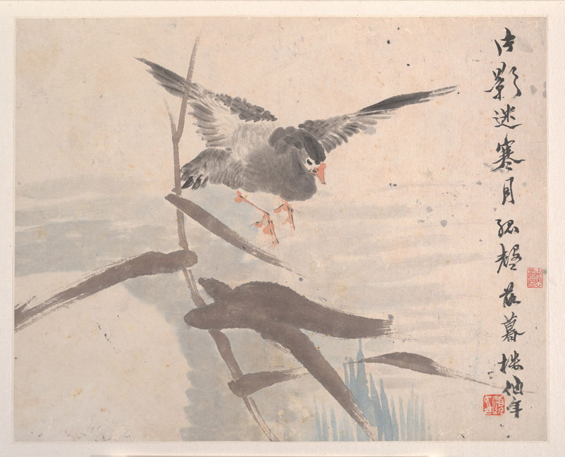 B2078038《花鸟蔬果册页八开之八》清代画家任伯年高清作品 清代-第1张