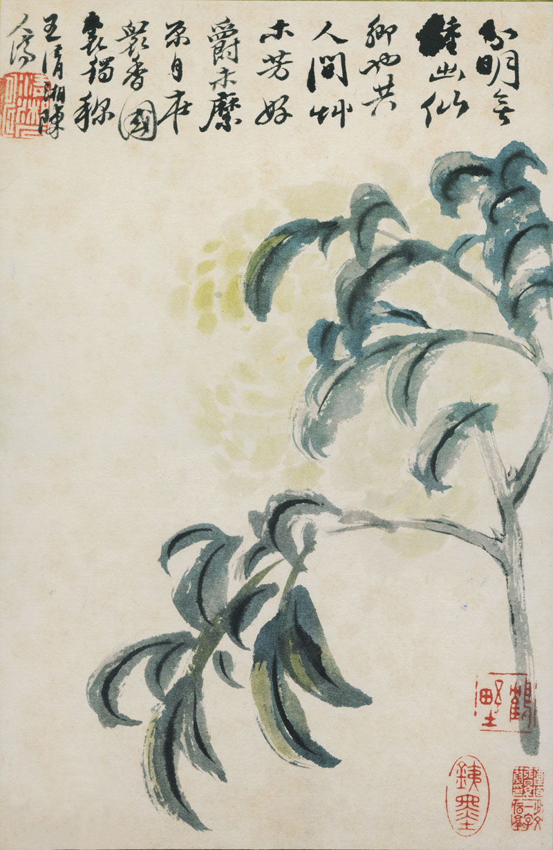 B2087035《花鸟图册12开之一》清代画家石涛高清作品 清代-第1张