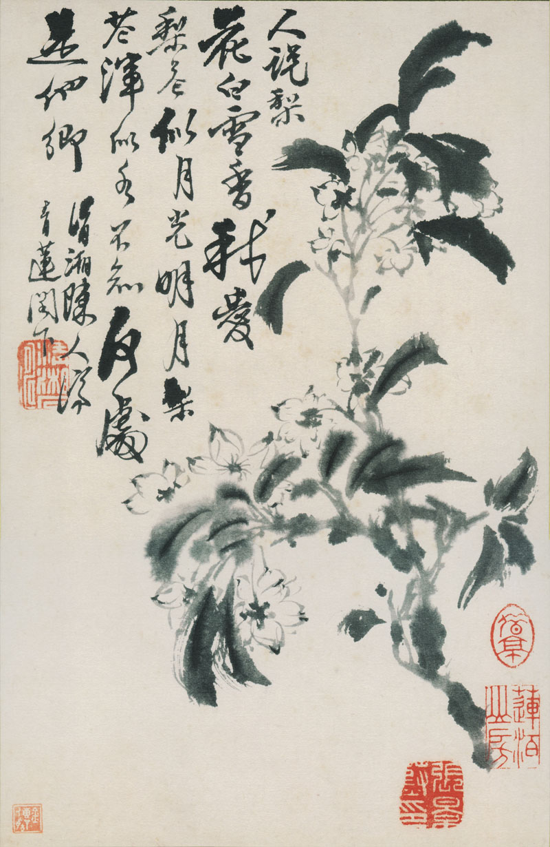 B2087041《花鸟图册12开之七》清代画家石涛高清作品 清代-第1张