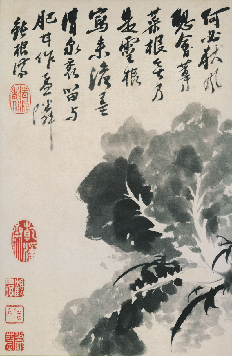 B2087043《花鸟图册12开之九》清代画家石涛高清作品 清代-第1张