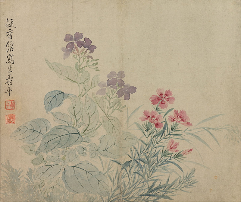 B2124004《花卉图（六幅）四豆花石竹图》清代画家恽寿平高清作品 清代-第1张