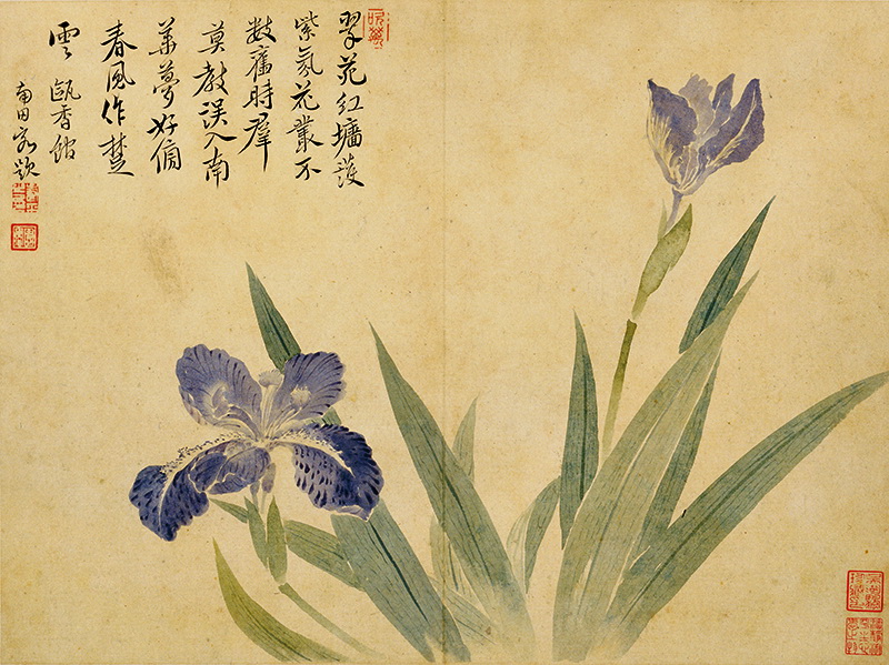 B2124018《花鸟草虫八开之一》清代画家恽寿平高清作品 清代-第1张