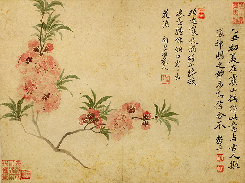 B2124020《花鸟草虫八开之三》清代画家恽寿平高清作品 清代-第1张