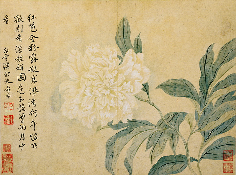 B2124022《花鸟草虫八开之五》清代画家恽寿平高清作品 清代-第1张